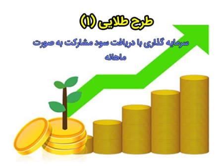 سرمایه گذاری با دریافت سود مشارکت ماهانه